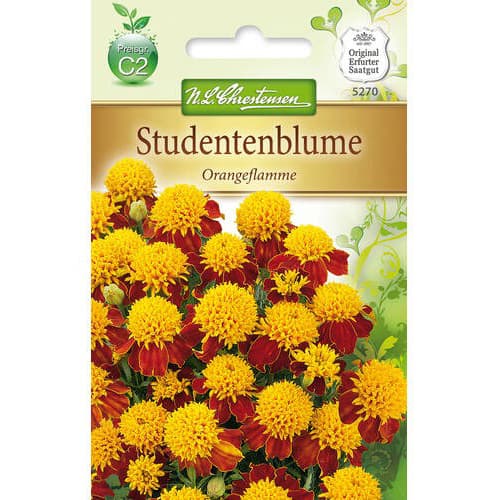 Aksamitka Orangeflamme interface.image 1 interface.art 78941