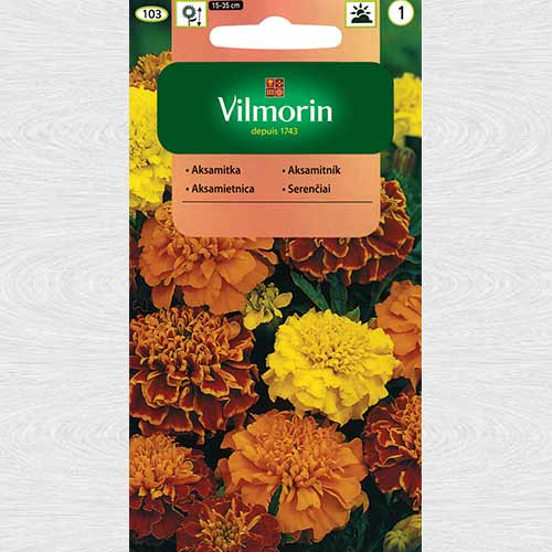 Aksamitka rozpierzchła pełna Mix interface.image 1 interface.art 69755