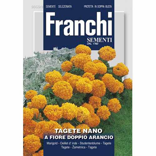 Aksamitka rozpierzchła pomarańczowa pełna Morami interface.image 1 interface.art 87310