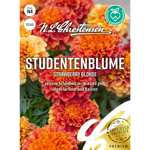 Aksamitka Strawberry Blonde, mix kolorow interface.image 1 interface.art 86203