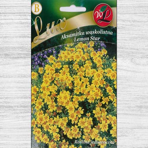 Aksamitka wąskolistna Lemon Star interface.art zdjęcie 1 Aksamitka wąskolistna Lemon Star interface.image 1 interface.art 78651