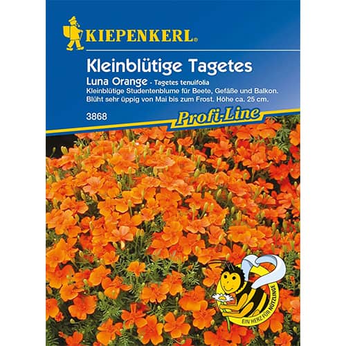 Aksamitka Luna Orange interface.image 1 interface.art 86348