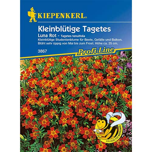 Aksamitka Luna Rot interface.image 1 interface.art 86349