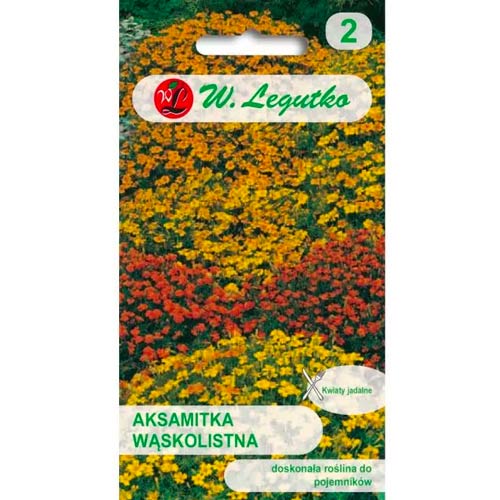 Aksamitka waskolistna, mix kolorow interface.image 1 interface.art 50079