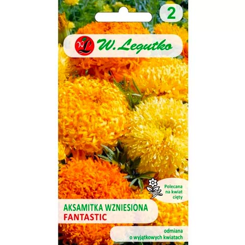 Aksamitka wzniesiona Fantastic, mix interface.image 1 interface.art 69554