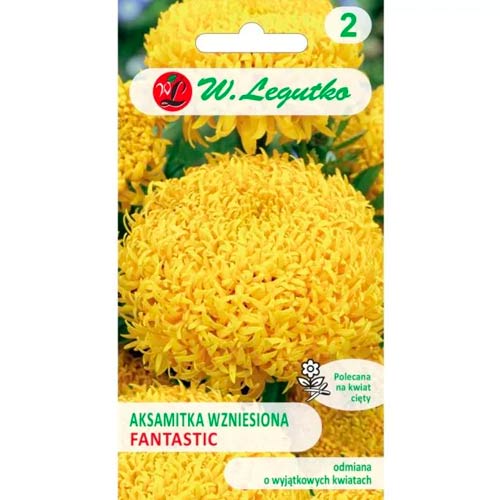 Aksamitka Fantastic żółta interface.image 1 interface.art 96692