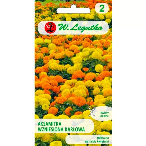 Aksamitka wzniesiona karłowa, mix interface.art zdjęcie 1 Aksamitka wzniesiona karłowa, mix interface.image 1 interface.art 50081