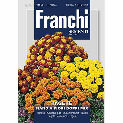 Aksamitka wzniesiona pełna, mieszanka kolorów Morami interface.image 1 interface.art 87307