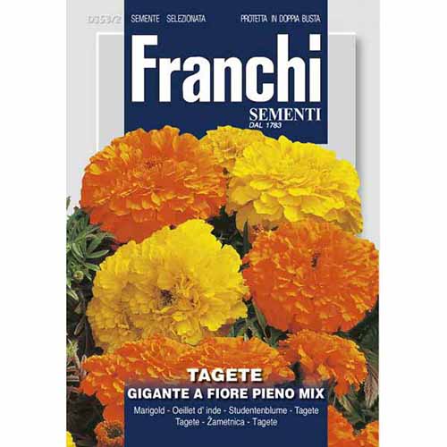 Aksamitka wzniesiona wielokwiatowa pełna, mieszanka kolorów Morami interface.art zdjęcie 1 Aksamitka wzniesiona wielokwiatowa pełna, mieszanka kolorów Morami interface.image 1 interface.art 87308