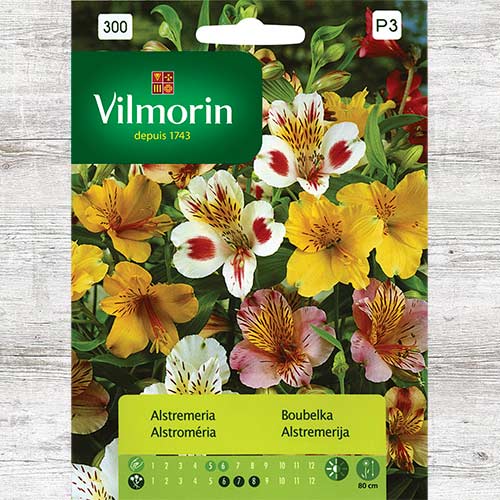 Alstremeria, mieszanka interface.image 1 interface.art 86625