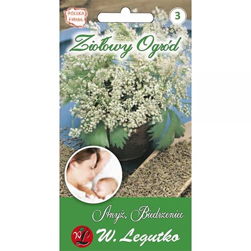 Anyż, Biedrzaniec interface.image 1 interface.art 69664