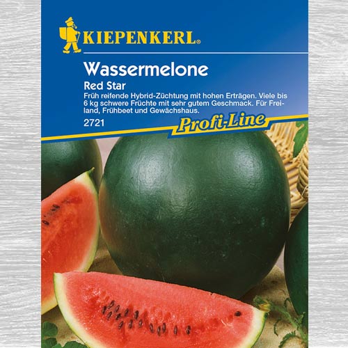 Arbuz Red Star F1 interface.image 1 interface.art 77485