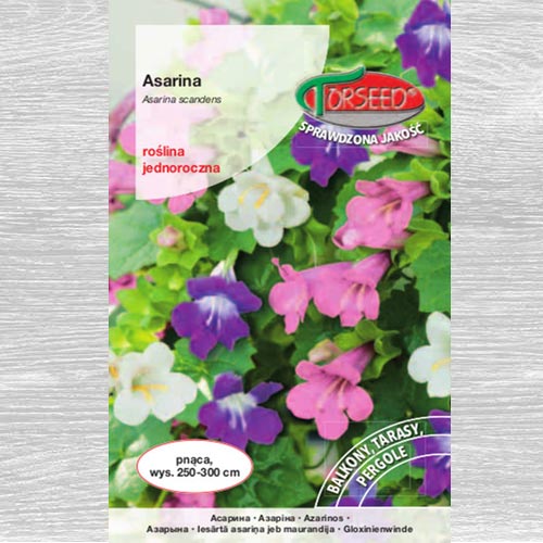 Asarina, mieszanka interface.art zdjęcie 1 Asarina, mieszanka interface.image 1 interface.art 77509