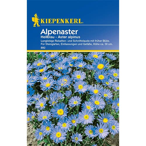 Aster alpejski niebieski interface.image 1 interface.art 77395