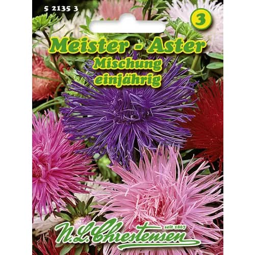 Aster igielkowy Meister, mix kolorow interface.image 1 interface.art 96407