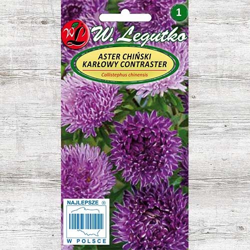 Aster chiński karłowy Contraster ciemnoniebieski Legutko interface.image 1 interface.art 86811
