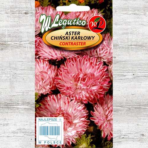 Aster chiński karłowy Contraster różowo-biały Legutko interface.image 1 interface.art 86810