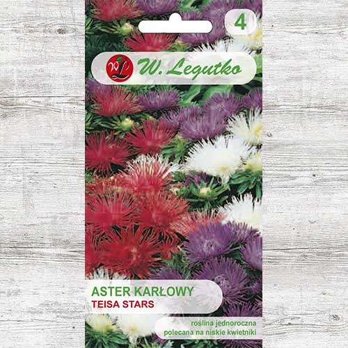 Aster chiński karłowy igiełkowy Teisa Stars, mieszanka Legutko interface.image 1 interface.art 86812