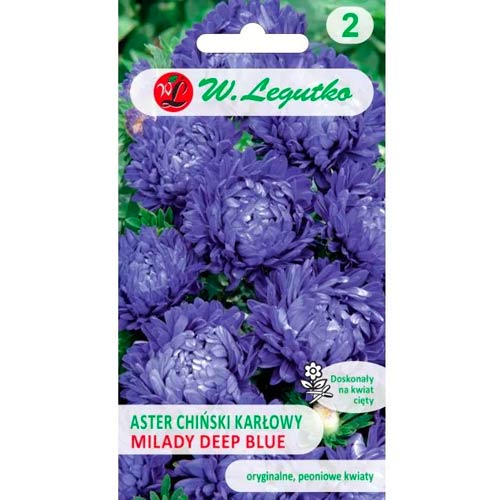 Aster karłowy Milady Deep Blue interface.image 1 interface.art 69557