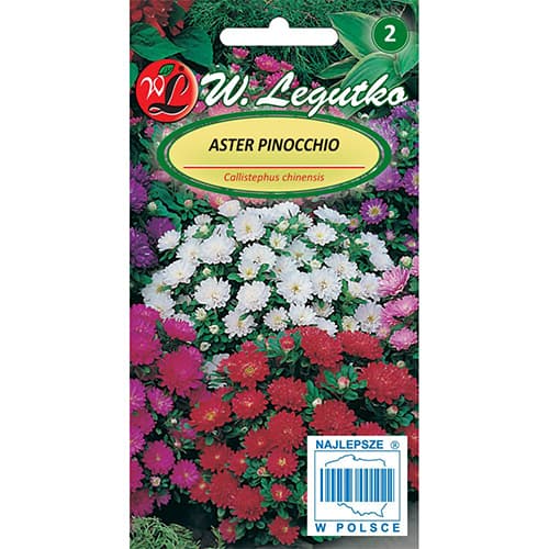 Aster chiński karłowy Pinocchio, mix interface.image 1 interface.art 86813