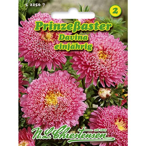 Aster Prinzessin Davina, mix kolorow interface.image 1 interface.art 86138