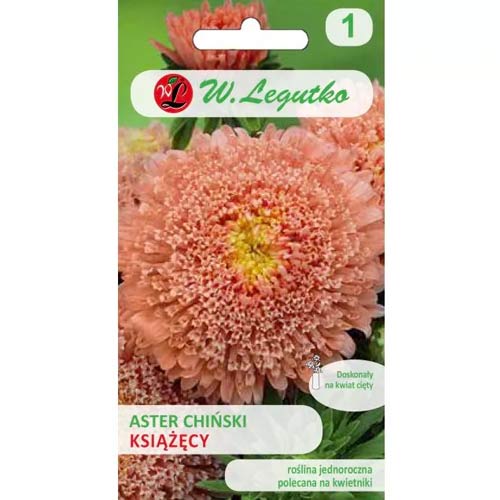 Aster ksiazecy łososiowy interface.art zdjęcie 1 Aster ksiazecy łososiowy interface.image 1 interface.art 78514