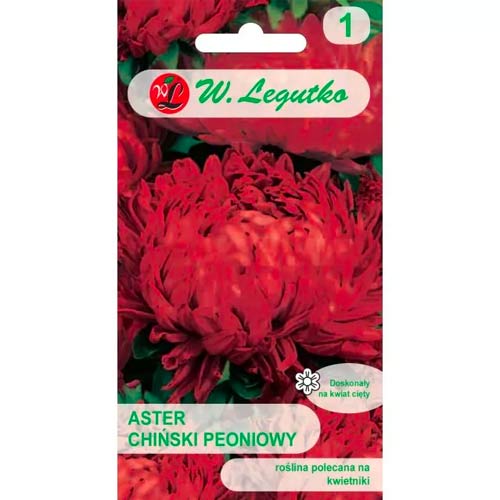 Aster peoniowy czerwony interface.image 1 interface.art 78525