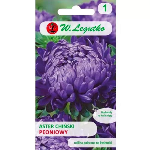 Aster peoniowy fioletowy interface.image 1 interface.art 78528