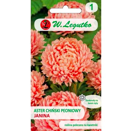 Aster peoniowy Janina interface.image 1 interface.art 78522