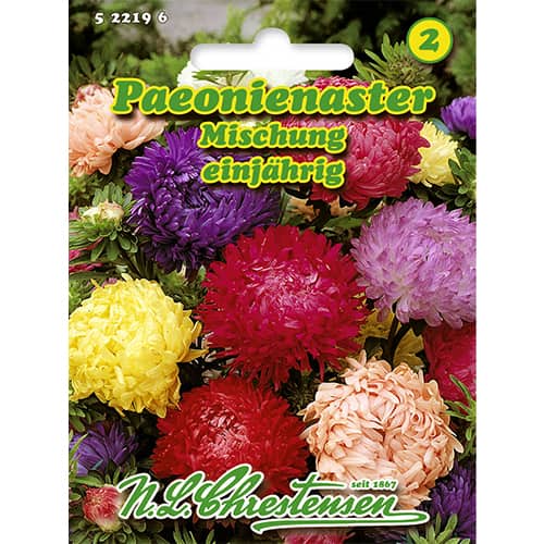 Aster peoniowy, mix kolorow interface.image 1 interface.art 86135