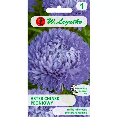 Aster peoniowy niebieski interface.image 1 interface.art 78527