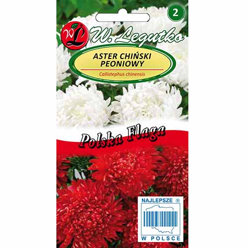 Aster chiński peoniowy Polska Flaga, mieszanka Legutko interface.image 1 interface.art 96694