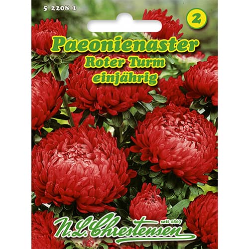 Aster peoniowy Roter Turm interface.art zdjęcie 1 Aster peoniowy Roter Turm interface.image 1 interface.art 86136