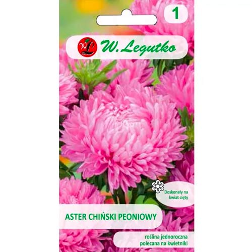 Aster peoniowy różowy interface.image 1 interface.art 78524