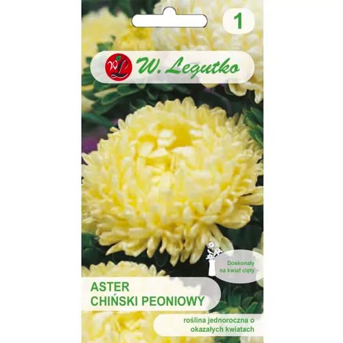 Aster peoniowy żółty interface.image 1 interface.art 78521