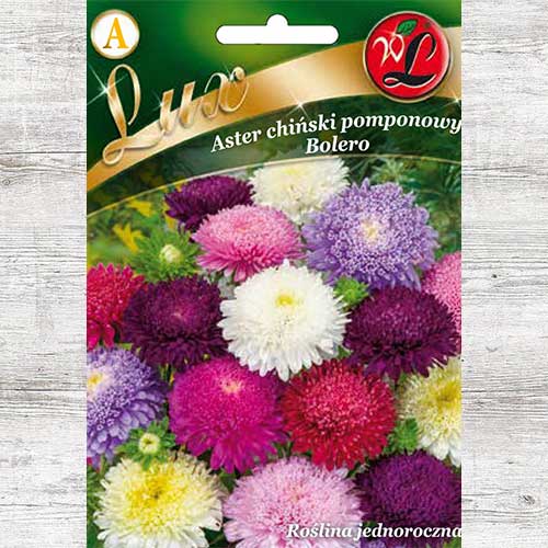 Aster chiński pomponowy Bolero, mieszanka interface.image 1 interface.art 86745