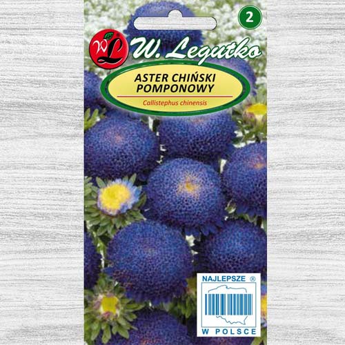 Aster chiński pomponowy ciemnoniebieski interface.image 1 interface.art 78533