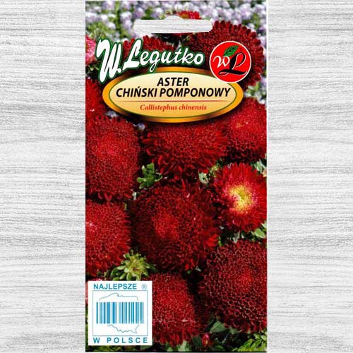 Aster chiński pomponowy czerwony interface.art zdjęcie 1 Aster chiński pomponowy czerwony interface.image 1 interface.art 78532