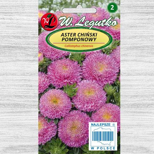 Aster chiński pomponowy różowy interface.image 1 interface.art 78531