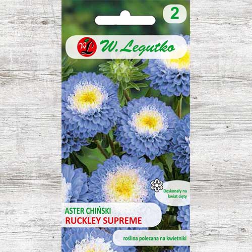 Aster chiński pomponowy Ruckley Supreme Legutko interface.image 1 interface.art 86815