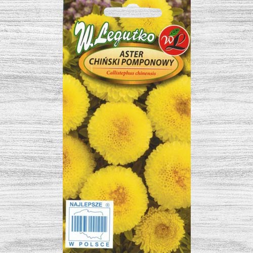 Aster chiński pomponowy żółty interface.image 1 interface.art 78530