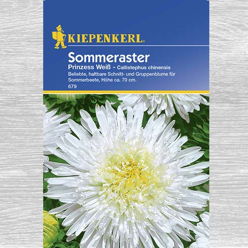 Aster chiński Prinzess, biały interface.image 1 interface.art 77428