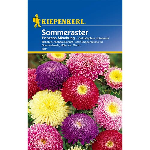 Aster Prinzess, mix kolorow interface.image 1 interface.art 86316