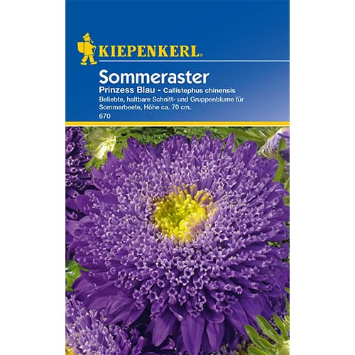 Aster Prinzess Blau interface.art zdjęcie 1 Aster Prinzess Blau interface.image 1 interface.art 77427