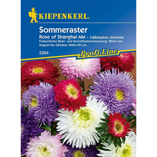 Aster Rose of Shanghai, mix kolorow interface.image 1 interface.art 86317