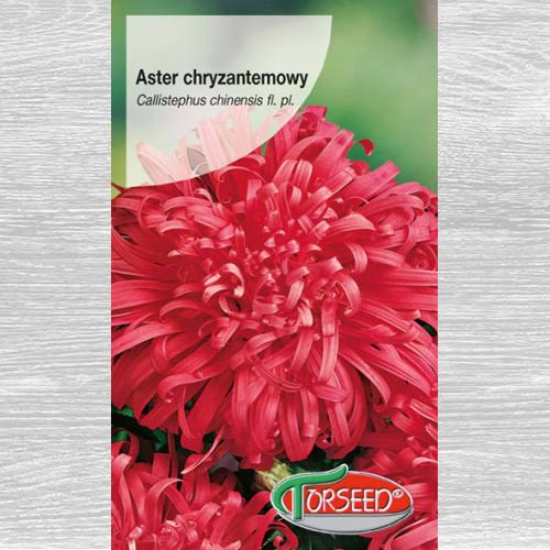 Aster chryzantemowy wysoki czerwony interface.image 1 interface.art 77511