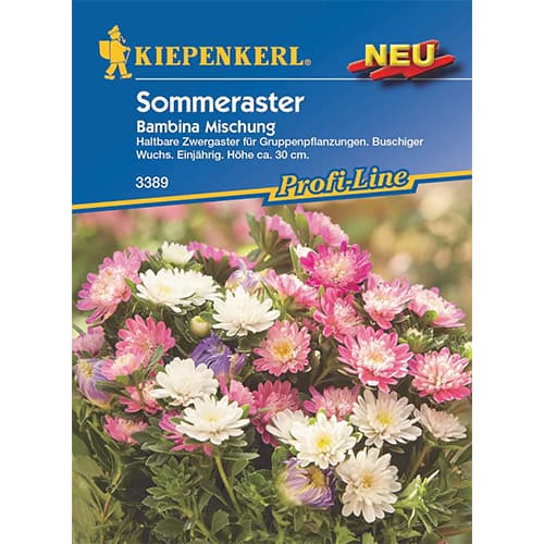 Aster karlowy Bambina, mix kolorow interface.image 1 interface.art 87764