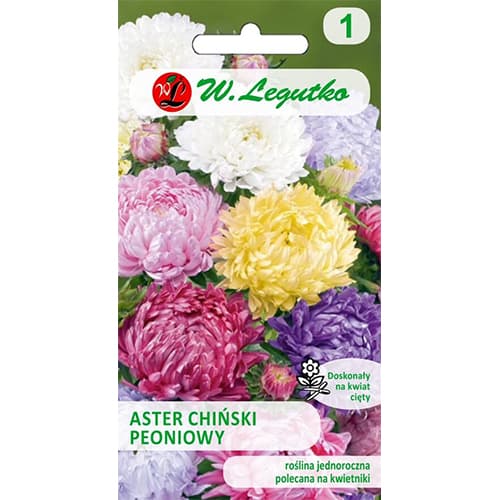 Aster peoniowy, mix kolorow interface.image 1 interface.art 78529