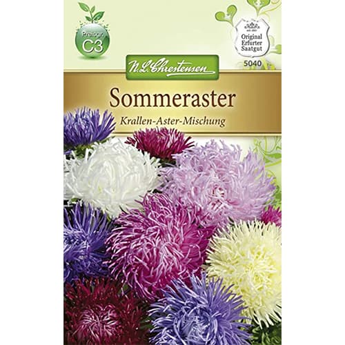 Aster igielkowy Krallen, mix kolorow interface.image 1 interface.art 87804