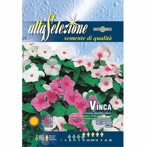 Barwinek różowy (Katarantus) Madagascar, mieszanka kolorów Morami interface.art zdjęcie 1 Barwinek różowy (Katarantus) Madagascar, mieszanka kolorów Morami interface.image 1 interface.art 96323